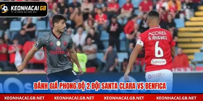 Benfica được đánh giá cao hơn Santa Clara về phong độ