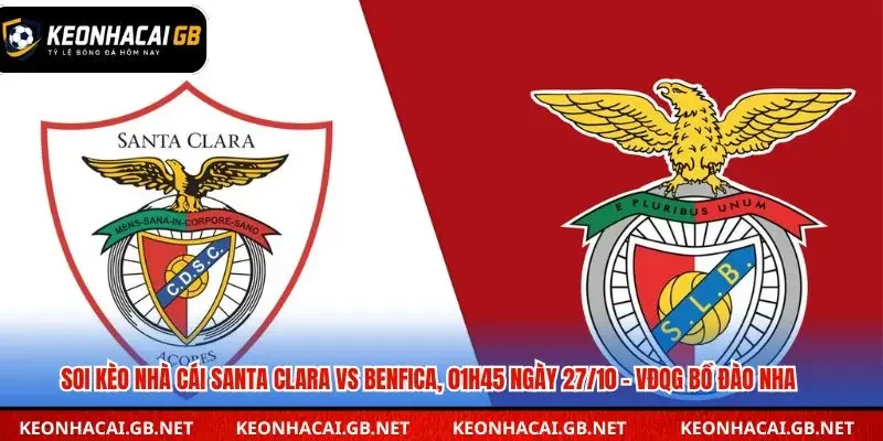 Soi kèo nhà cái Santa Clara vs Benfica